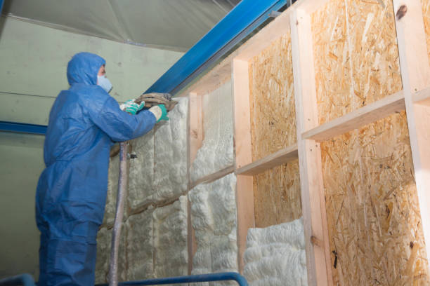 Best Professional Insulation Contractor  in Brunswick, NC